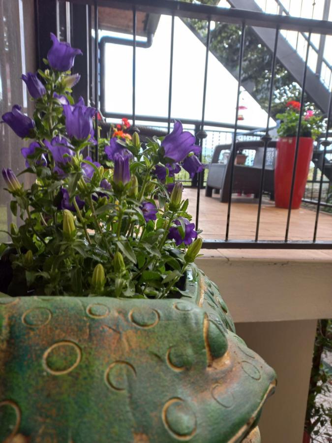 Rancha Azul Inn Alajuela Zewnętrze zdjęcie