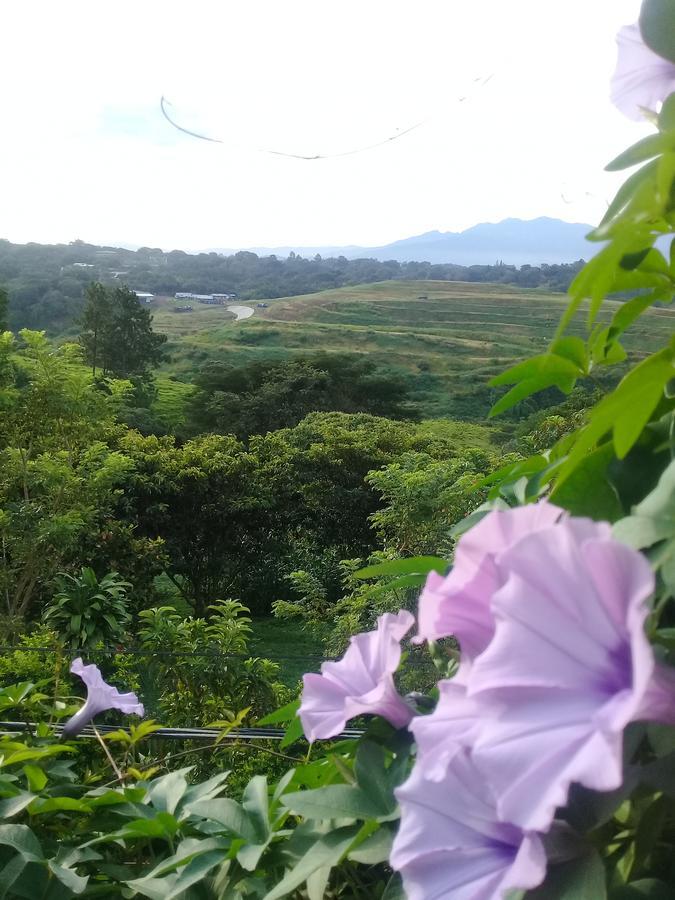 Rancha Azul Inn Alajuela Zewnętrze zdjęcie